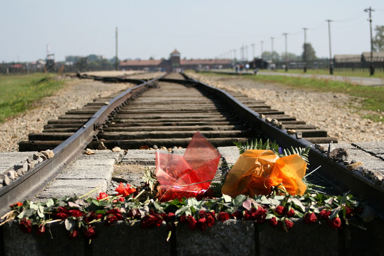 Położna z Auschwitz