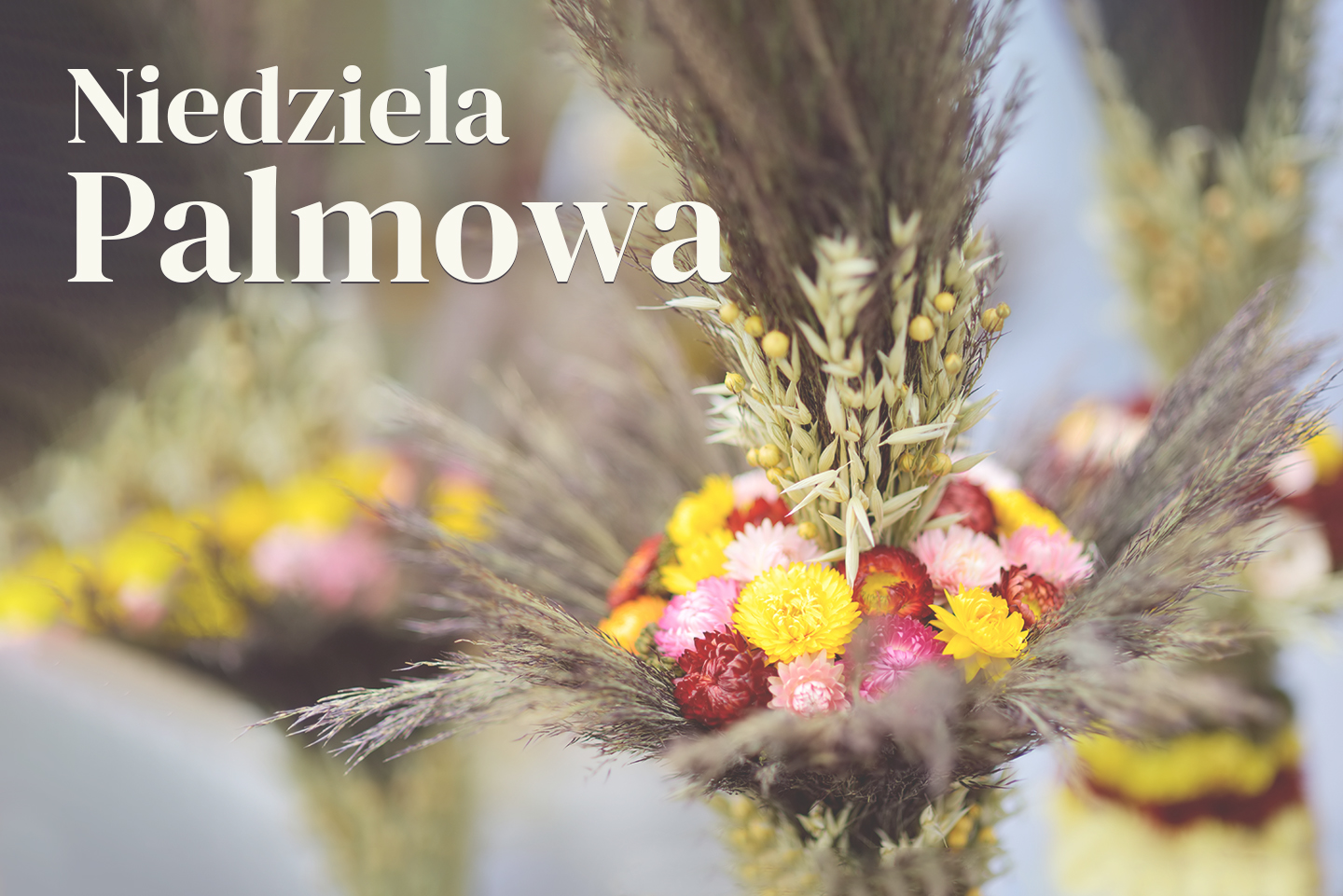 Niedziela Palmowa - radość z przyjścia Zbawiciela i refleksja nad własnym życiem